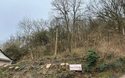 Baugrundstück in zentraler Lage von Beckingen